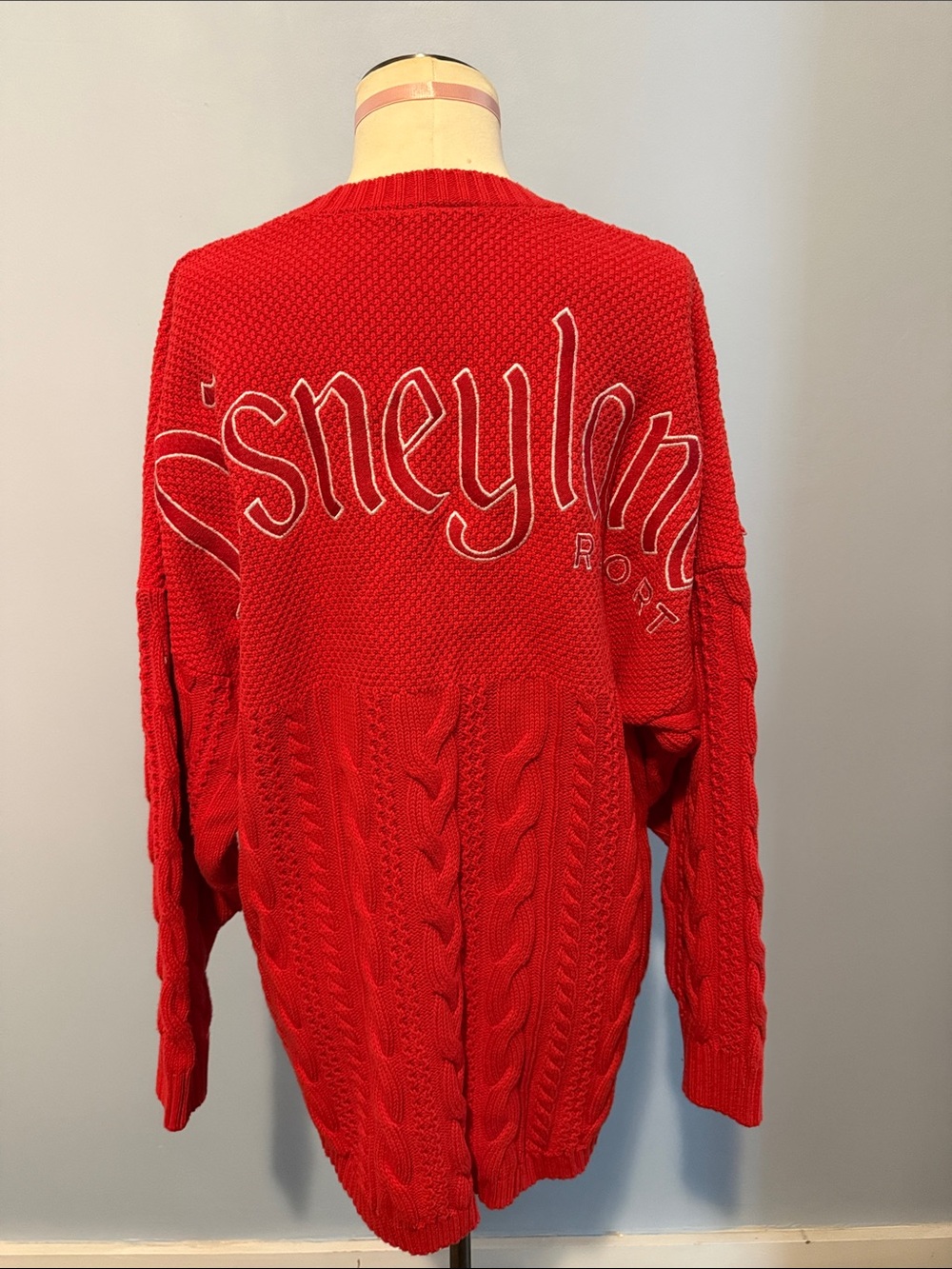 Disneyland Spirit Jersey - Picture 2 of 7